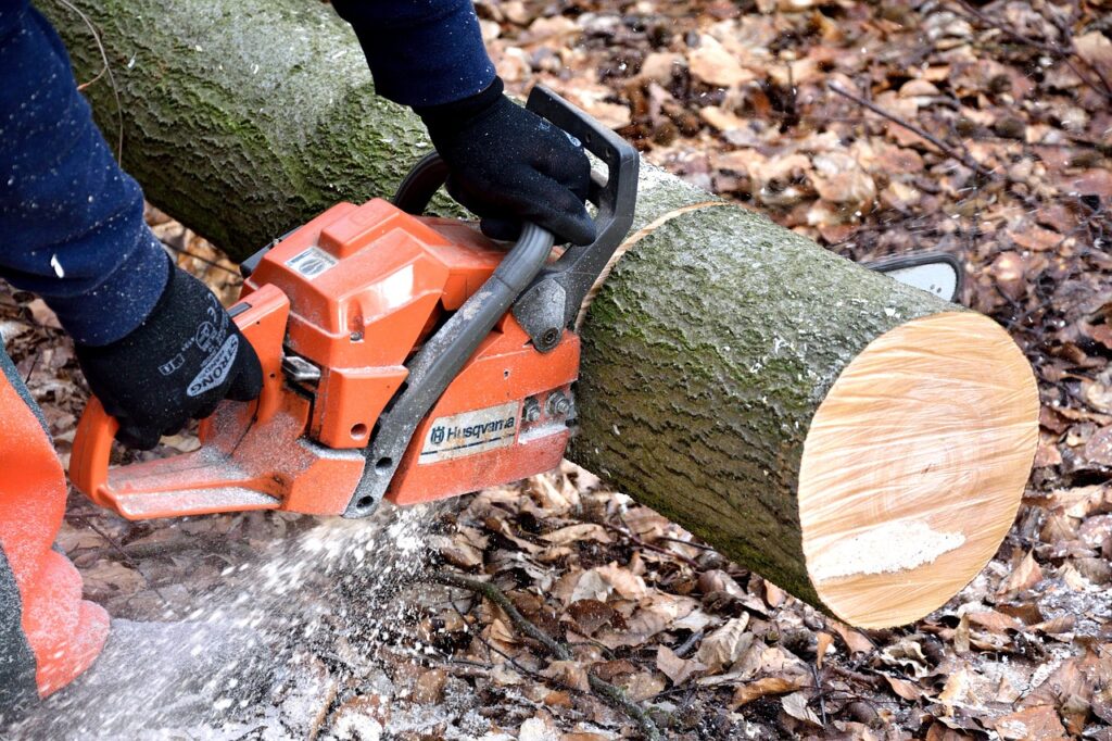 best power tools for cutting wood